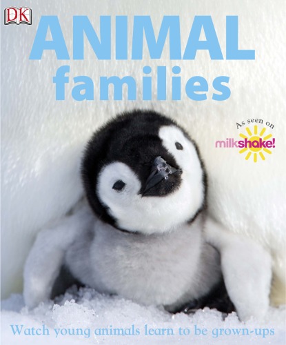 Animal Families Lorrie Mack
