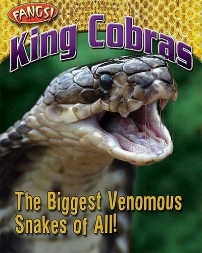King Cobras The Biggest Venomous Snakes Of All Fangs Nancy White