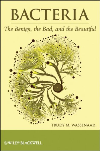 Bacteria The Benign The Bad And The Beautiful 1st Edition Trudy M Wassenaar