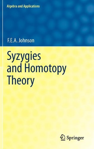 Syzygies And Homotopy Theory 1st Edition Fea Johnson Auth