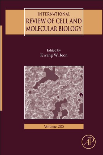 International Review Of Cell And Molecular Biology Vol 285 1st Kwang W Jeon Ed