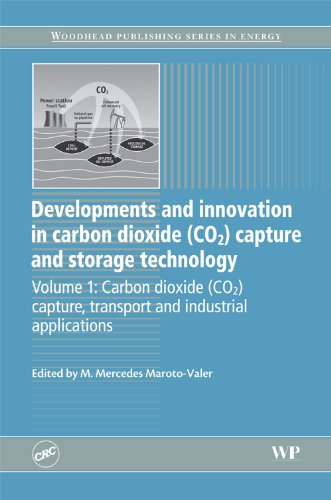 Developments And Innovation In Carbon Dioxide Co2 Capture And Storage Technology Volume 1 Carbon Dioxide Co2 Capture Transport And Industrial Applications Woodhead Publishing Series In Energy Mmercedes Marotovaler