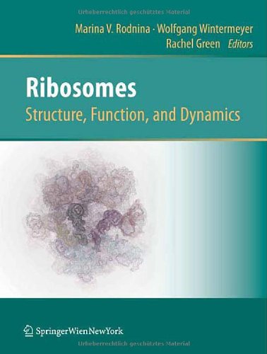 Ribosomes Structure Function And Dynamics 1st Edition Marina V Rodnina