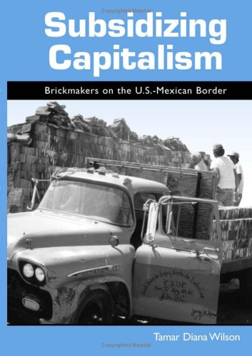 Subsidizing Capitalism Brickmakers On The Usmexican Border Tamar Diana Wilson