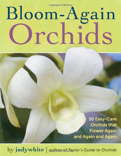 Bloomagain Orchids 50 Easycare Orchids That Flower Again And Again And Again Original Judywhite