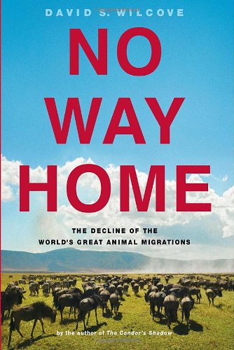 No Way Home The Decline Of The Worlds Great Animal Migrations 1st Edition David S Wilcove