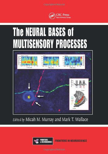 The Neural Bases Of Multisensory Processes Frontiers In Neuroscience 1st Edition Micah M Murray