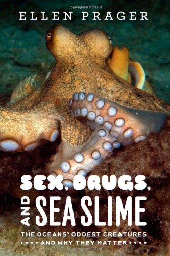 Sex Drugs And Sea Slime The Oceans Oddest Creatures And Why They Matter Ellen Prager