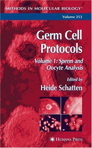 Germ Cell Protocols Volume 1 Sperm And Oocyte Analysis 1st Edition Franz Lahnsteiner Auth