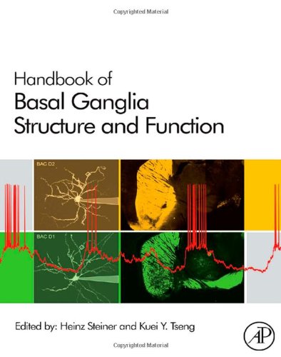 Handbook Of Basal Ganglia Structure And Function 1st Edition Heinz Steiner