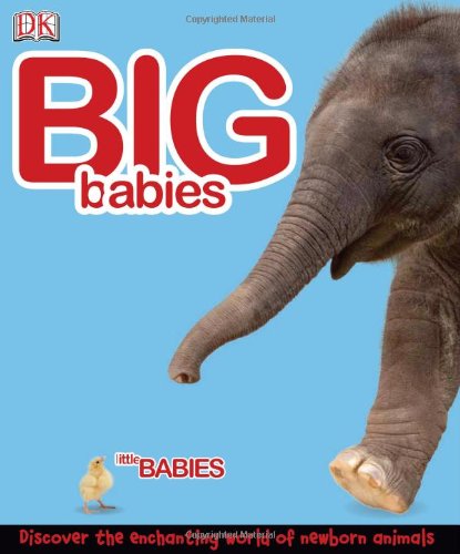 Big Babies Little Babies Dk Publishing