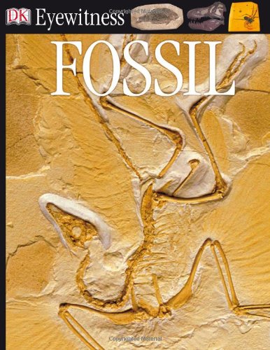 Fossil Dk Eyewitness Paul D Taylor