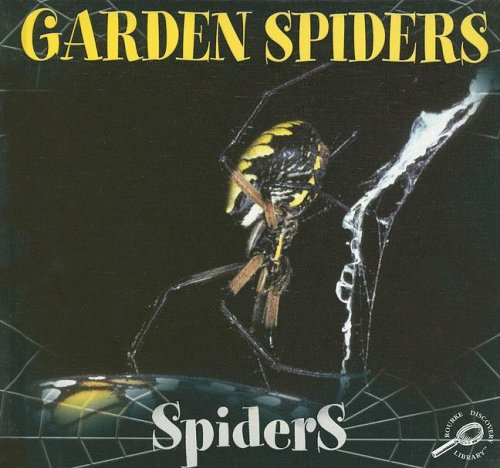 Garden Spiders Jason Cooper