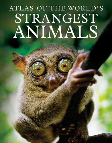 Atlas Of The Worlds Strangest Animals Paula Hammond