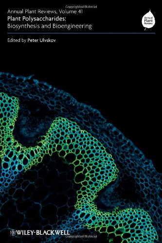 Annual Plant Reviews Plant Polysaccharides Biosynthesis And Bioengineering Volume 41 Volume 41 Peter Ulvskov