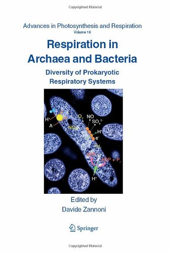 Respiration In Archaea And Bacteria Diversity Of Prokaryotic Respiratory Systems 1st Edition Gnter Schfer Auth