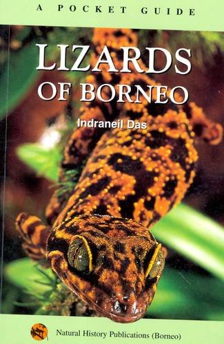A Pocket Guide Lizards Of Borneo Indraneil Das
