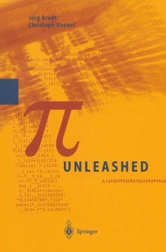 Piunleashed Volume 1 2001th Edition Jrg Arndt Christoph Haenel