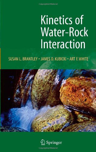Kinetics Of Waterrock Interaction 1st Edition Susan Louise Brantley