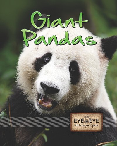 Giant Pandas Tom Greve