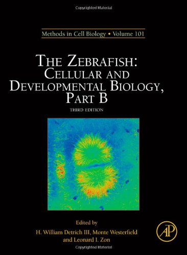 The Zebrafish Cellular And Developmental Biology Part B 3rd H William Detrich