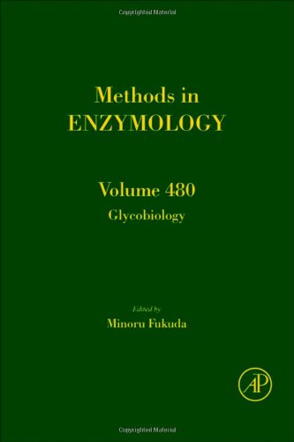 Glycobiology 1st Edition Minoru Fukuda