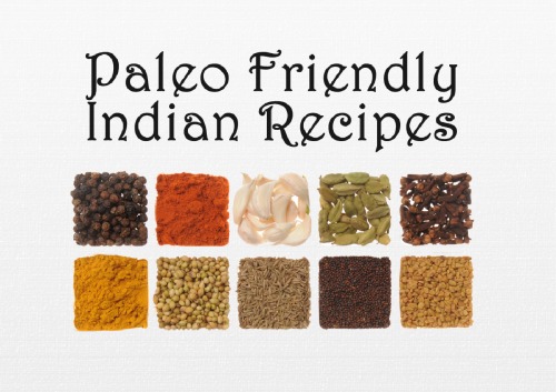 Paleo Friendly Indian Recipes Illustrated Nikki Young