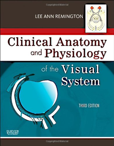Clinical Anatomy And Physiology Of The Visual System Third Edition Third Edition Lee Ann Remington Od Ms