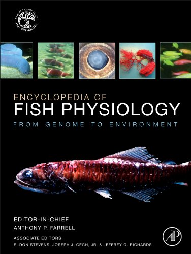Encyclopedia Of Fish Physiology From Genome To Environment 1st Edition Anthony P Farrel