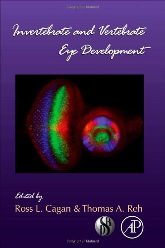 Invertebrate And Vertebrate Eye Development 1st Edition Ross L Cagan And Thomas A Reh Eds