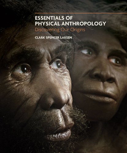 Essentials Of Physical Anthropology Discovering Our Origins Clark Spencer Larsen