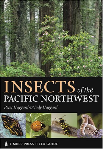 Insects Of The Pacific Northwest Timber Press Field Guides Peter Haggard