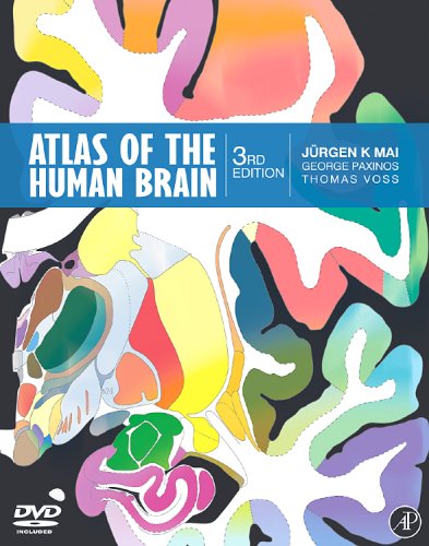 Atlas Of The Human Brain Third Edition 3rd Edition Juergen K Mai