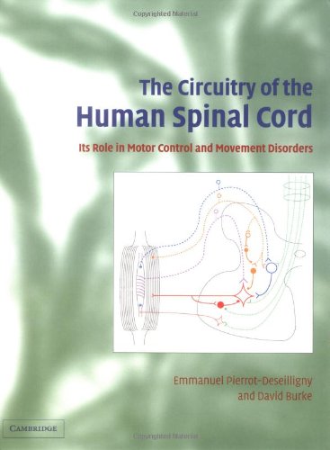 The Circuitry Of The Human Spinal Cord Its Role In Motor Control And Movement Disorders 1st Edition Emmanuel Pierrotdeseilligny