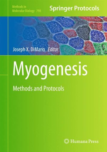 Myogenesis Methods And Protocols Methods In Molecular Biology V798 2012th Edition Joseph X Dimario