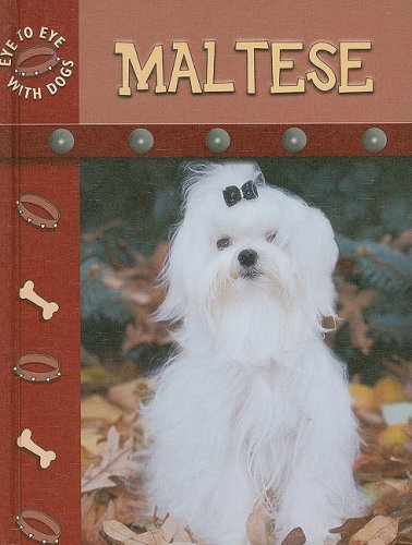 Maltese Lynn M Stone
