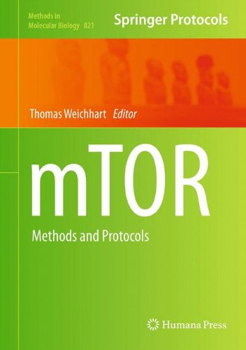 Mtor Methods And Protocols Methods In Molecular Biology V821 2012th Edition Thomas Weichhart