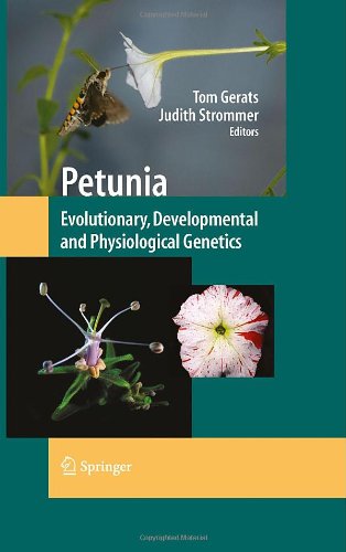 Petunia Evolutionary Developmental And Physiological Genetics 2nd Edition Joo Renato Stehmann