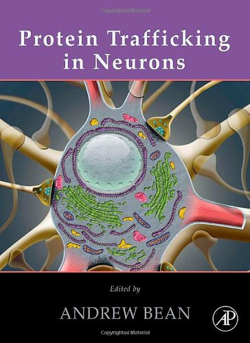 Protein Trafficking In Neurons 1st Edition Andrew J Bean