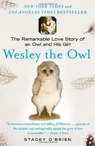 Wesley The Owl The Remarkable Love Story Of An Owl And His Girl Reprint Stacey Obrien