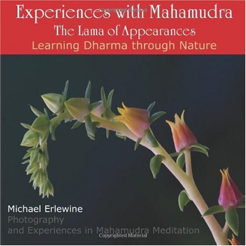 Experiences With Mahamudra Notes From A Personal Journey Michael Erlewine Photos And Text