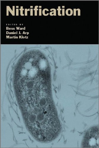 Nitrification 1st Edition Bess B Ward Daniel J Arp Martin G Klotz