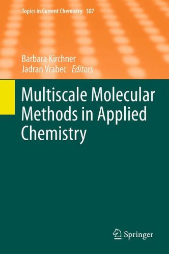 Multiscale Molecular Methods In Applied Chemistry 1st Edition Andres Jaramillobotero
