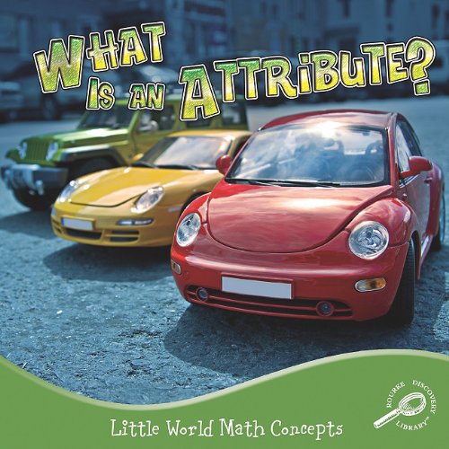 What Is An Attribute 1st Edition Nancy Kelly Allen