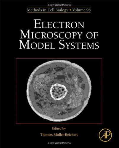 Electron Microscopy Of Model Systems 1st Edition Thomas Mllerreichert Eds