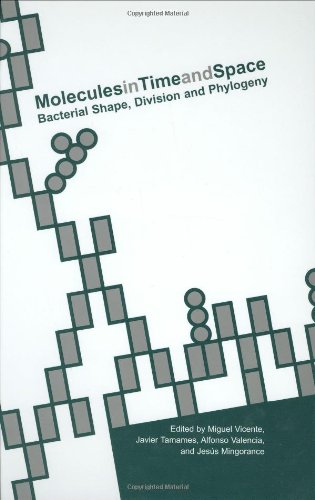 Molecules In Time And Space Bacterial Shape Division And Phylogeny 1st Edition Miguel Vicente