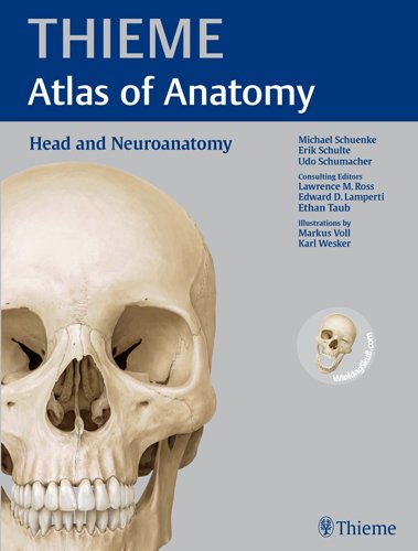 Thieme Atlas Of Anatomy Head And Neuroanatomy 1st Michael Schuenke