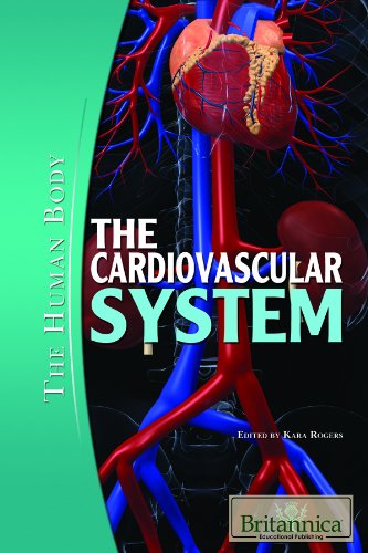 The Cardiovascular System The Human Body 1st Edition Kara Rogers