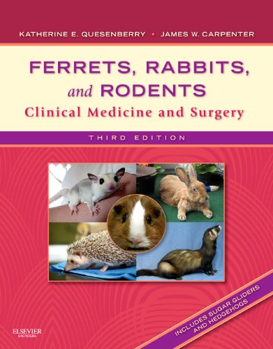 Ferrets Rabbits And Rodents Clinical Medicine And Surgery 3rd Edition 3rd Edition Katherine Quesenberry Dvm