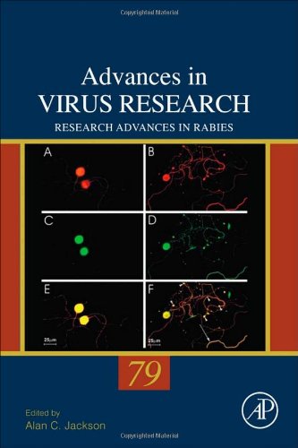 Research Advances In Rabies 1st Edition Alan C Jackson Eds